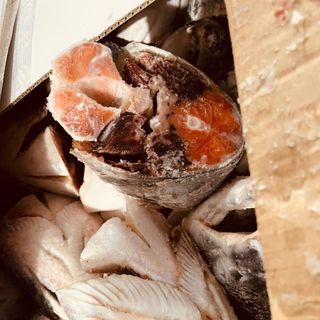 Đầu cá hồi đông lạnh
