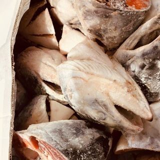 Đầu cá hồi