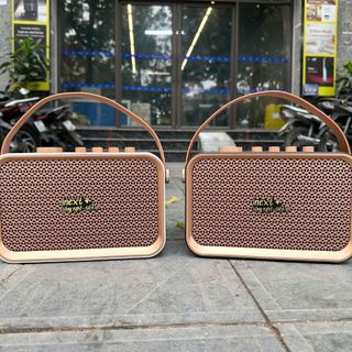 Loa Inext 901