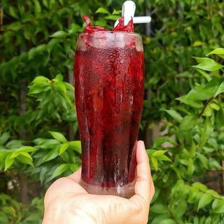 SIRO ATISO ĐỎ – GIẢI NHIỆT, ĐẸP DA, TỐT CHO GAN 1KG - WINNIE HOUSE
