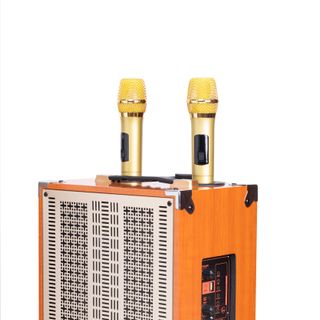 Loa kéo karaoke ontekco 8002 , kèm 2 micro cao cấp,nghe nhạc hát cực hay