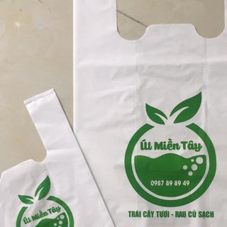 Túi siêu thị 2 quai đủ size (có thiết kế in ấn theo yêu cầu)