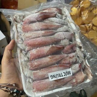 Mực Trứng giá sỉ