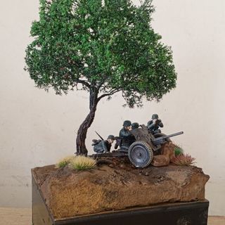 Tiểu cảnh mini để bàn 75