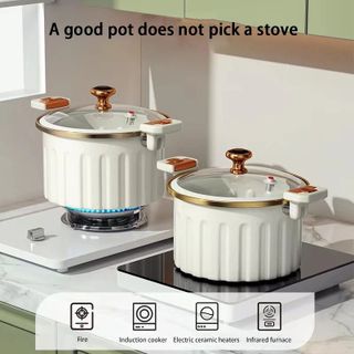 NỒI ẤP SUẤT ROMAN 28CM ĐA NĂNG