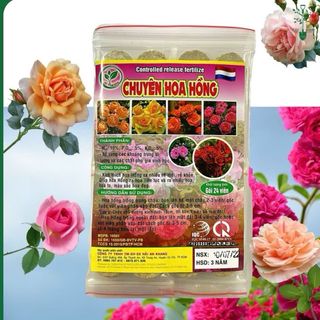 Phân bón chuyên hoa hồng – gói 24 viên - kích rễ - ra nhiều hoa - màu sắc đẹp