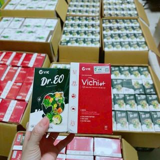 Trà vichi giá sỉ