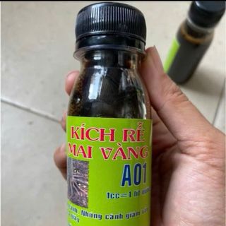 kích rễ mai vàng A01 chai 100ml tạo đế, kích rễ phôi, dưỡng rễ cây yếu, mau phục hồi cây