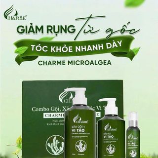 Combo gội vi tảo