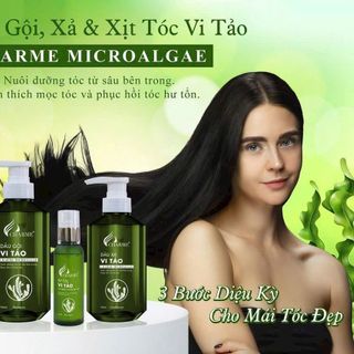 Combo gội vi tảo giá sỉ
