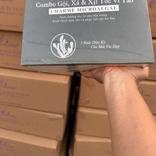 Combo gội vi tảo