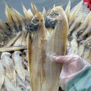 KHÔ CÁ LƯỠI TRÂU LOẠI SIZE LỚN THƠM NGON, VỊ ĐẬM ĐÀ 500G - WINNIE HOUSE