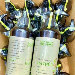 Dầu gội hà thủ ô 2 trong 1