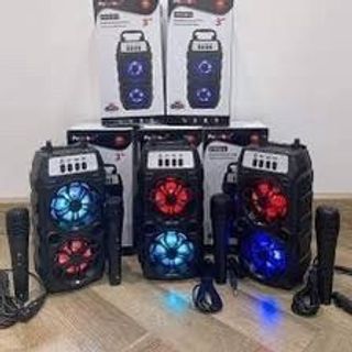 Loa Karaoke Kèm Mic PTH 2311 (Thùng 30 Cái)