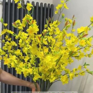 Hoa Mai Vàng, Cành Hoa Mai Vàng Giả , Cắm Bình , Làm Cây , Trang Trí Ngày Tết , Trang Trí Văn Phòng, Nhà Hàng, Khách Sạn