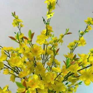 Hoa Mai Vàng, Cành Hoa Mai Vàng Giả , Cắm Bình , Làm Cây , Trang Trí Ngày Tết , Trang Trí Văn Phòng, Nhà Hàng, Khách Sạn