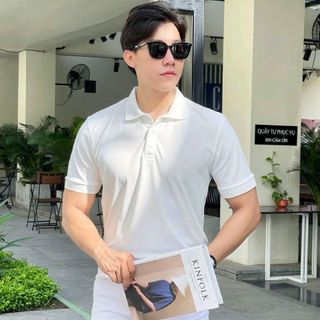 Áo thun nam Basic ,cổ bẻ, chất liệu poli cá sấu - menswear (mã:HOKO80)