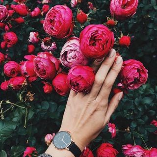 ĐỒNG HỒ NỮ CAO CẤP DANIEL W PETITE MẶT LƯỚI TRÒN
