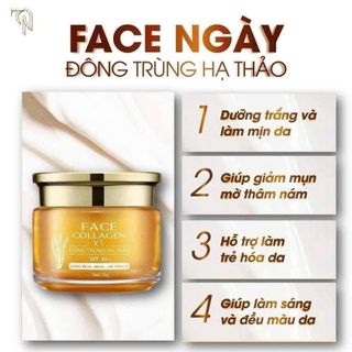 Kem ngày collagen x3