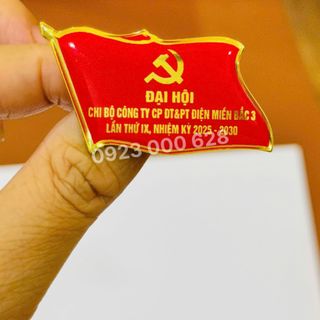 Huy hiệu đại hội đảng, Phù hiệu Đại Hội,thiết kế in ấn theo yêu cầu