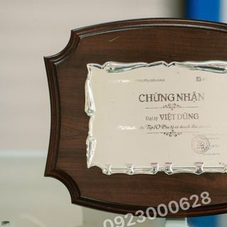 Biểu trưng vinh danh, bảng vinh danh gỗ đồng,kỷ niệm chương kỷ niệm ngày thành lập