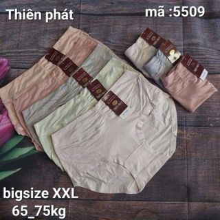 Quần cotton lưng cao fom to 5509.