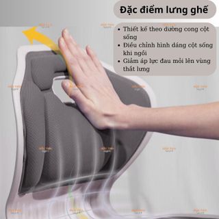 Ghế Công Thái Học Ngồi Đúng Tư Thế, Ghế Điều Chỉnh Tư Thế Giảm Đau Lưng Bảo Vệ Cột Sống
