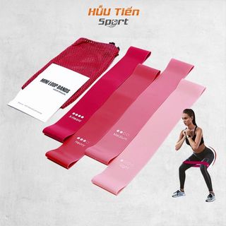 Dây Miniband, Bộ 4 Dây Mini Band Hồng Gradient Kèm Túi Cao Su Đàn Hồi Kháng Lực Tập Chân , Phụ Kiện Tập Gym Nữ Dây Kháng Lực Thể Dục