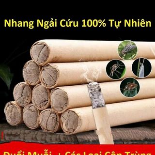 Hộp 10 cây nhang ngãi cứu kèm đế giá sỉ
