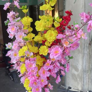 Cành Hoa Mai , Hoa Đào , Hoa Anh Đào Cao Cấp , Cành To , Nhiều Hoa , Nhiều Nụ , Cắm bình, Làm Cây, Trang trí Nhà Cửa , Decor Tết , Nhà Hàng , Quán ăn