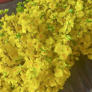 Cành Hoa Mai , Hoa Đào , Hoa Anh Đào Cao Cấp , Cành To , Nhiều Hoa , Nhiều Nụ , Cắm bình, Làm Cây, Trang trí Nhà Cửa , Decor Tết , Nhà Hàng , Quán ăn
