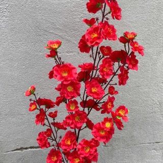 Cành Hoa Mai , Hoa Đào , Hoa Anh Đào Cao Cấp , Cành To , Nhiều Hoa , Nhiều Nụ , Cắm bình, Làm Cây, Trang trí Nhà Cửa , Decor Tết , Nhà Hàng , Quán ăn