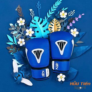 Găng Tay Boxing BN Beettles, Bao Tay Đấm Bốc Võ Thuật Chính Hãng BNSPORT