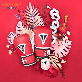 Găng Tay Boxing BN Beettles, Bao Tay Đấm Bốc Võ Thuật Chính Hãng BNSPORT