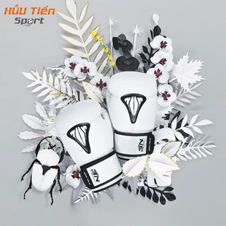 Găng Tay Boxing BN Beettles, Bao Tay Đấm Bốc Võ Thuật Chính Hãng BNSPORT