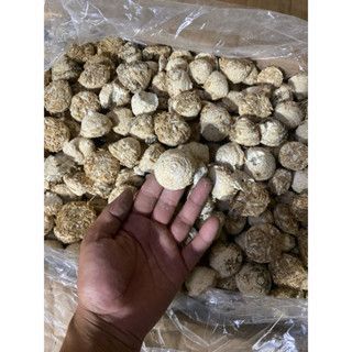 Men nấu rượu vỏ trấu, men rượu đặc biệt ngấu cơm, men rượu ủ cơm nếp, men kích sữa mẹ bầu