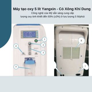 Máy tạo oxy 5 lít Yangxin có xông khí dung