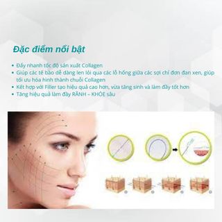 Chỉ Làm đầy và trẻ hoá da PCL Mesh: 21G*80mm