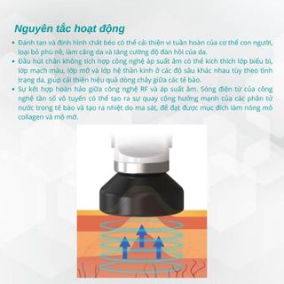 Máy triệt lông hồng ngoại DPL