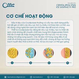 Máy giảm béo 4 tay cầm cryolipolysis (IS4)