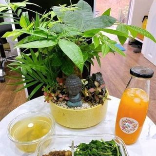 Hộp thuỷ tinh chịu nhiệt 1 lít - 2 ngăn