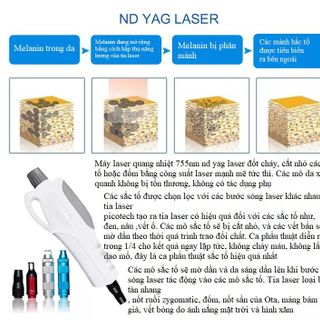 Máy xoá xăm điều trị sắc tố NdYAG kết hợp triệt lông IPL TB762