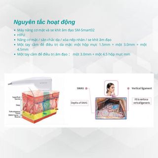 Máy nâng cơ mặt Hifu kết hợp trẻ hoá âm đạo SM Smart02