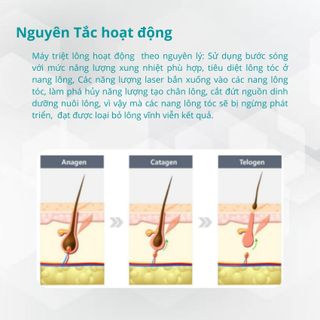 Máy triệt lông Diode Laser 808nm TB809