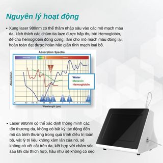 Máy loại bỏ tĩnh mạch, xoá mạch máu Diode Laser 980nm VR 2016