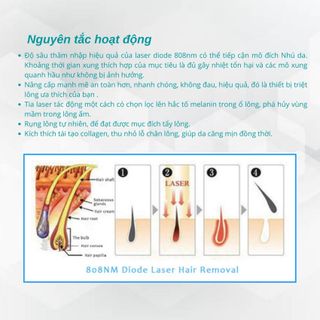 Máy triệt lông Diode Laser 808nm 808CUTE