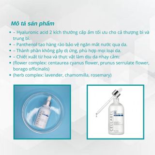 Tinh chất dưỡng ẩm tăng cường - Triple Hyaluronic Ampoule (30ml)