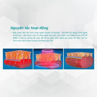 Máy giảm béo tạo hình công nghệ Emslim Emsculpt - SP1400