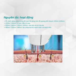 Máy triệt lông trẻ hoá da, xoá nhăn Elight kết hợp 3 công nghệ IPL, OPT, SHR - SP1108