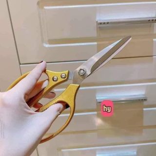 Kéo cắt xương gà - thép không rỉ